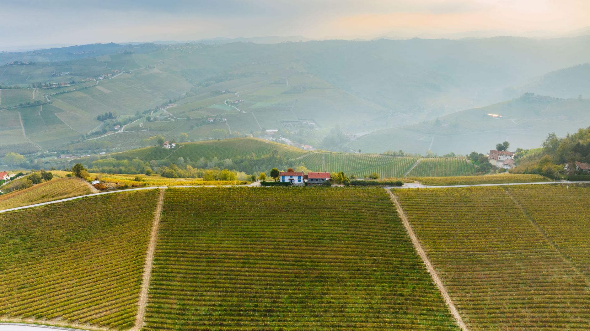 Spring Mountain Vineyard