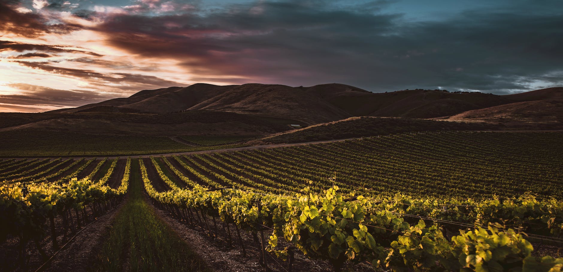 The Silverado Trail: A Local's Complete Guide