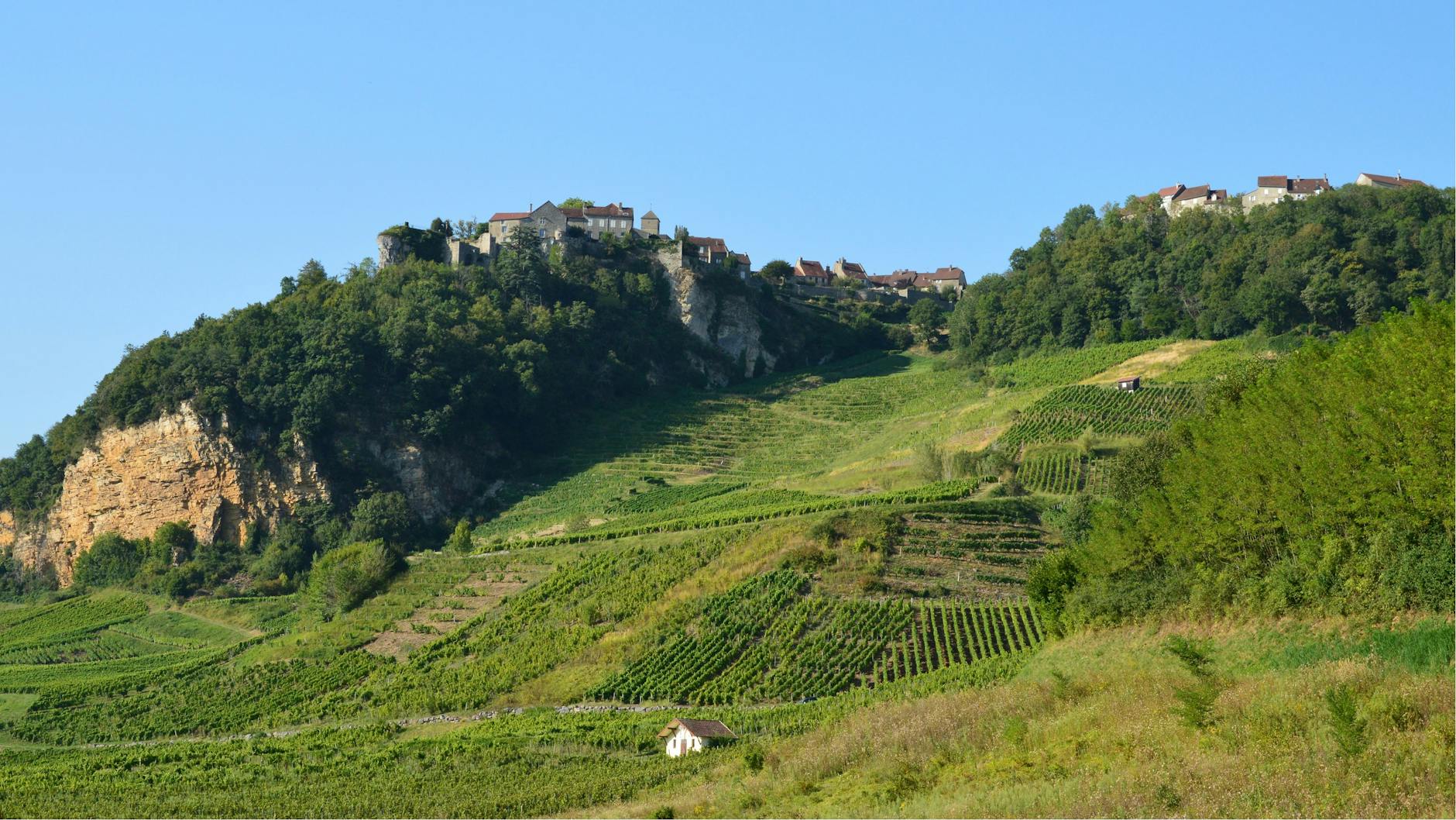 Robert Craig Winery