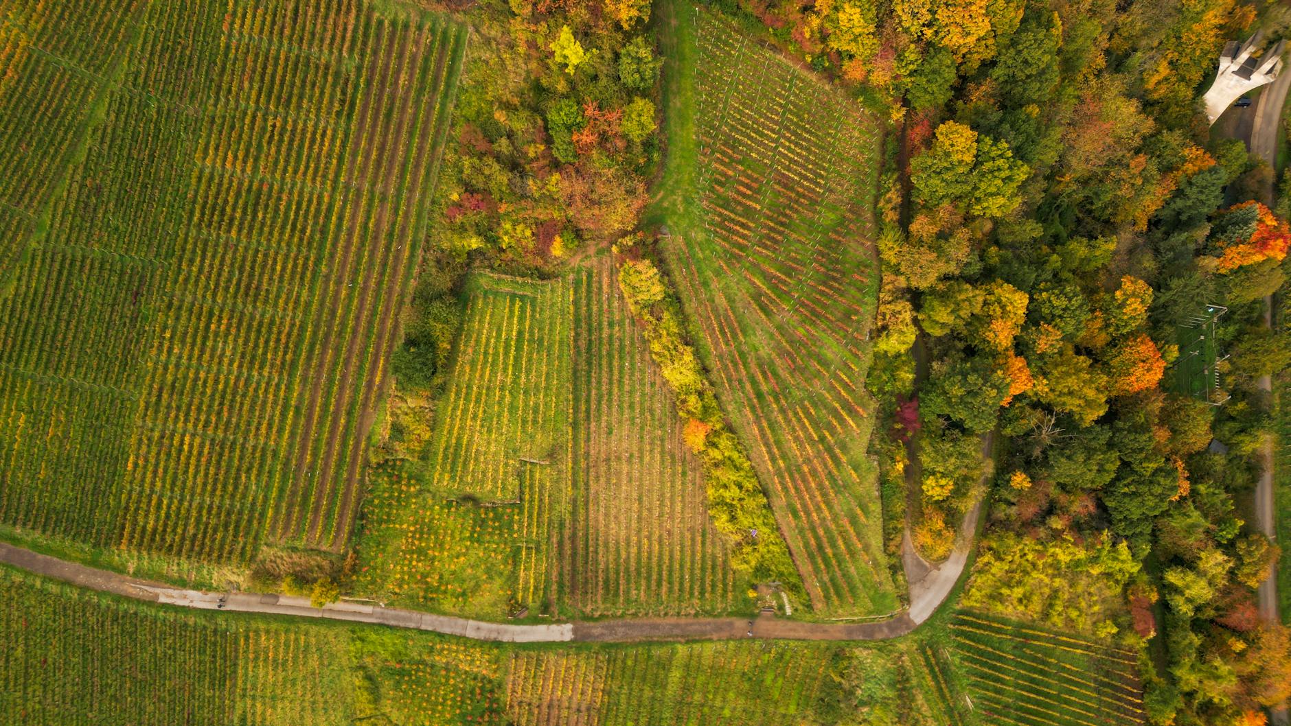 Krupp Brothers Estates