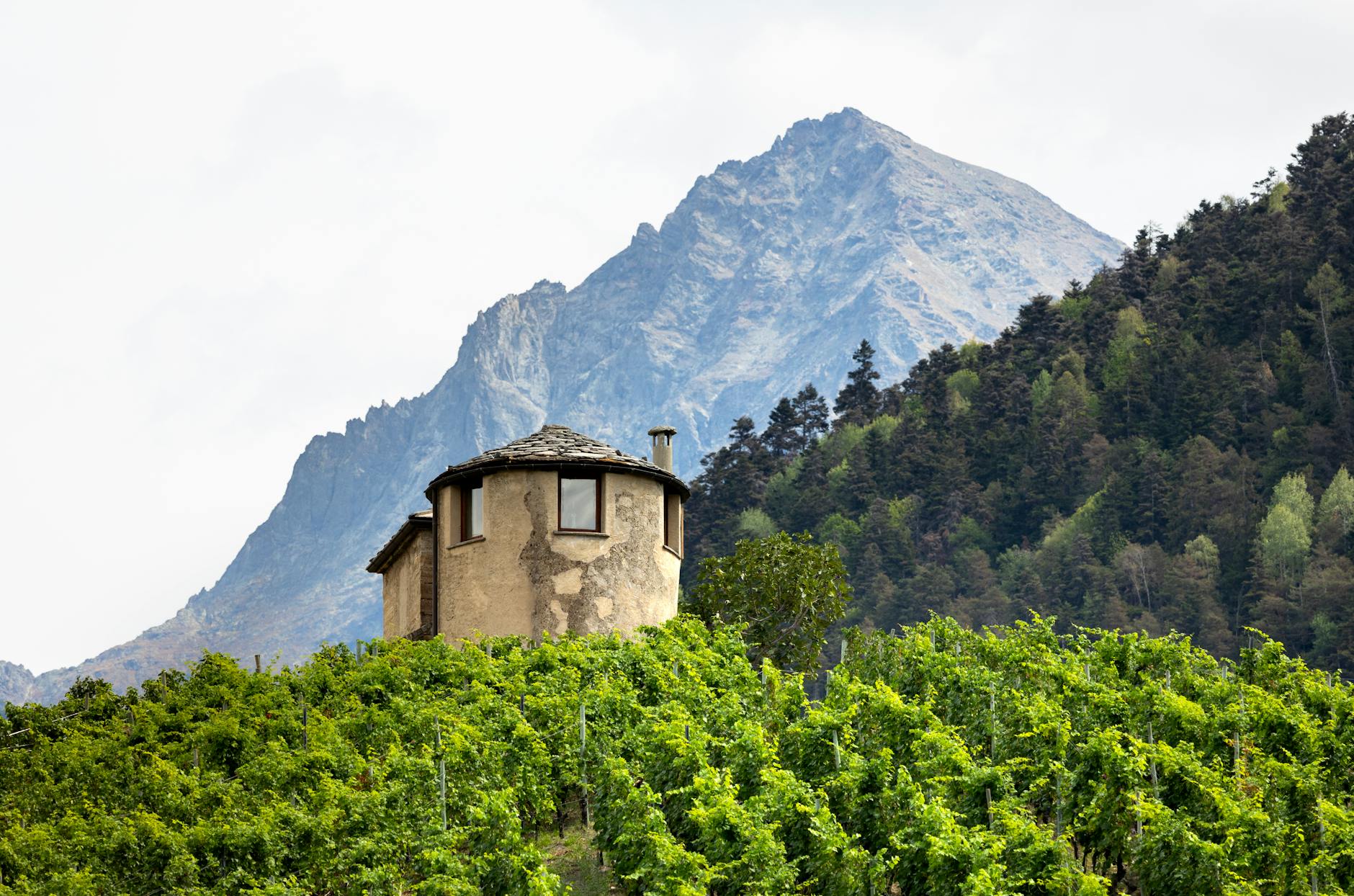 Arkenstone Vineyards