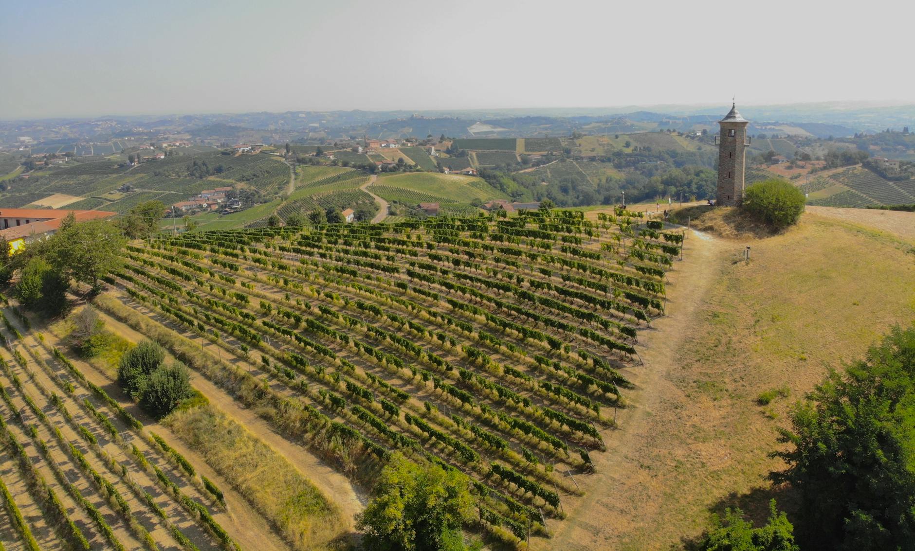 Pride Mountain Vineyards