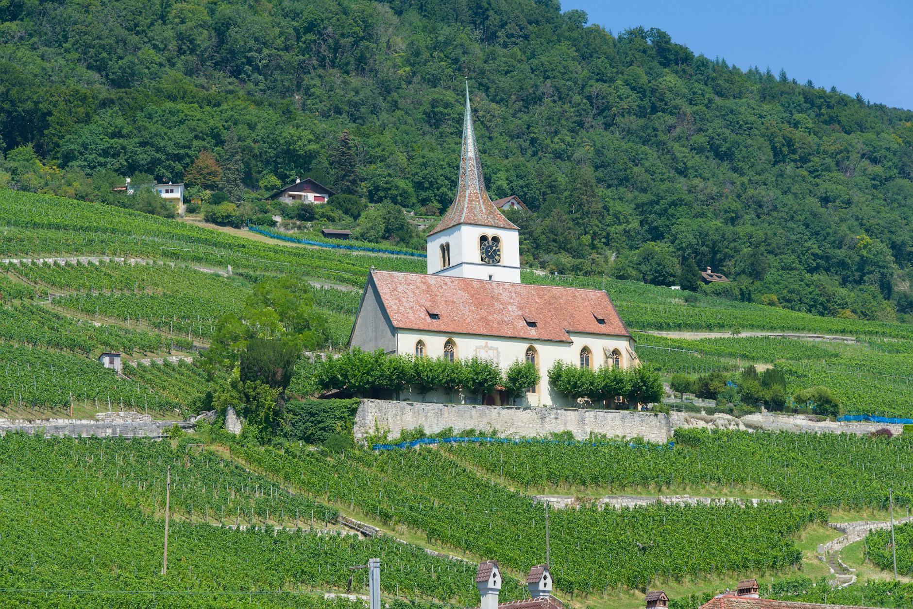 Fantesca Estate & Winery
