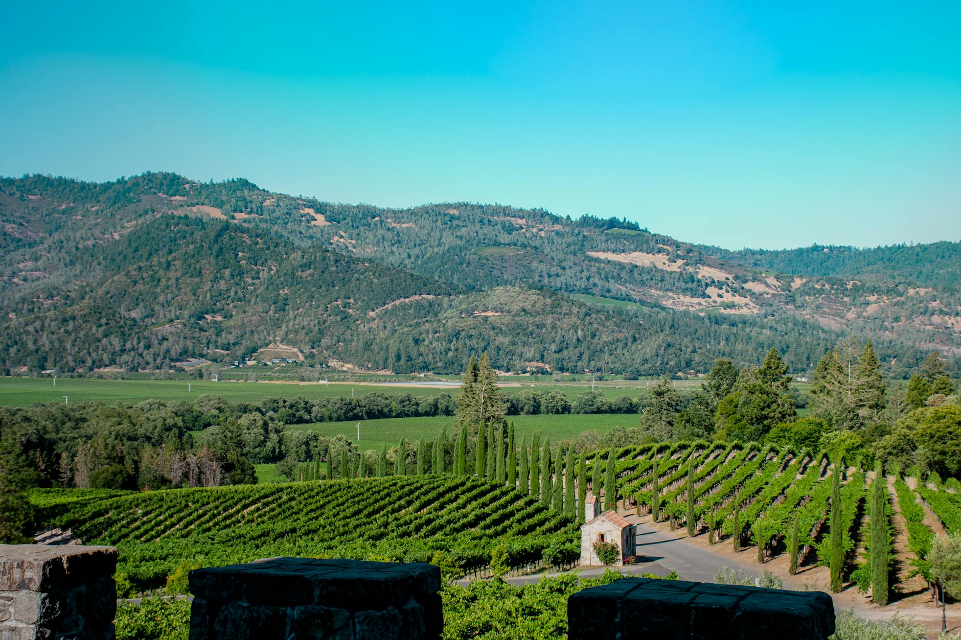 David Arthur Vineyards