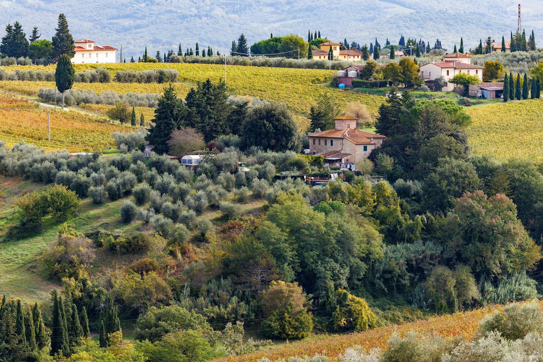 Outpost Wines
