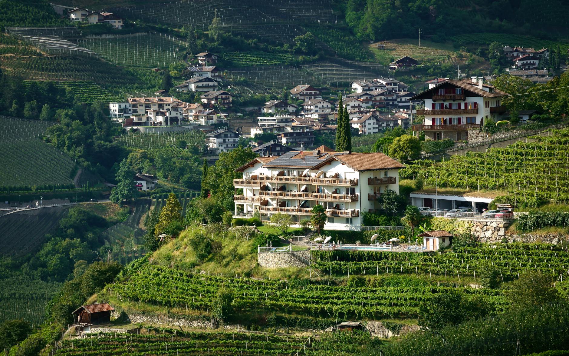 Lokoya