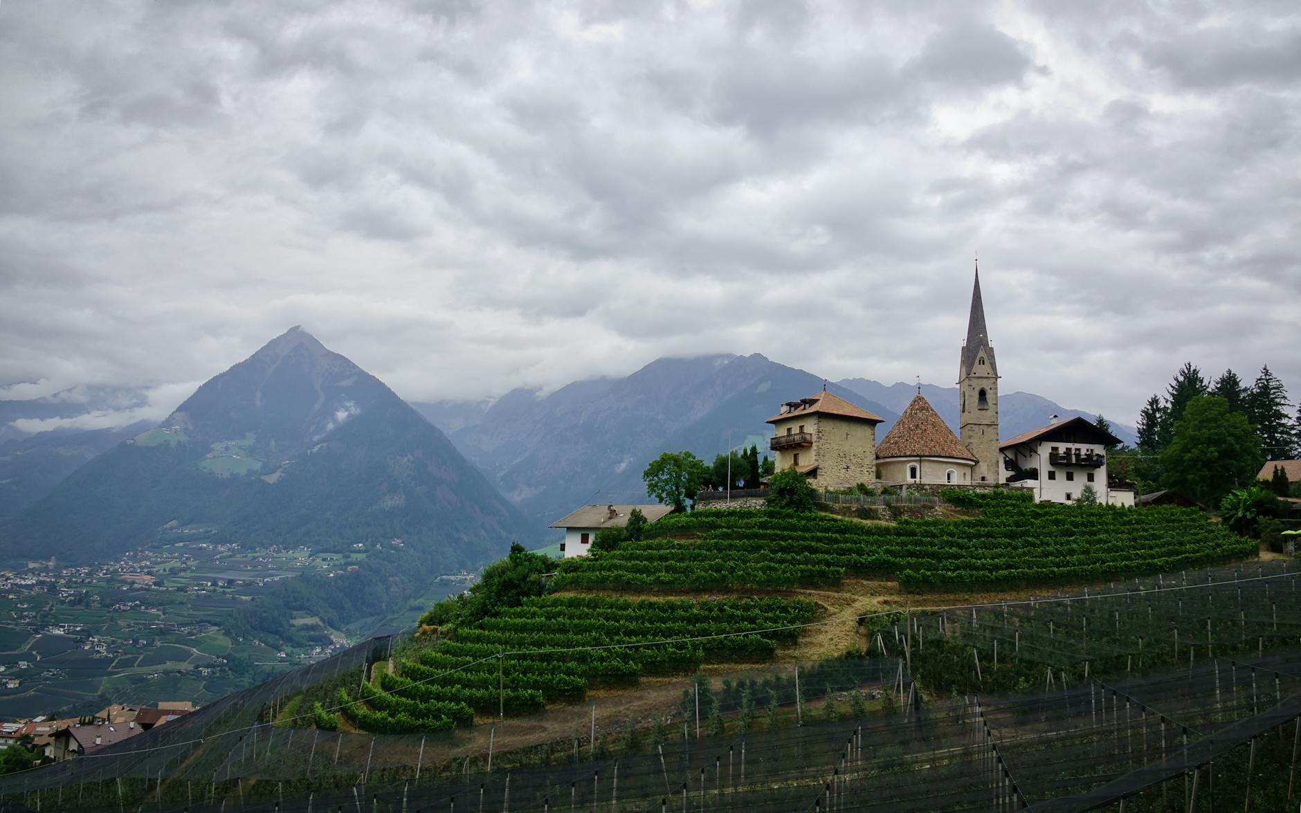 Stony Hill Vineyard