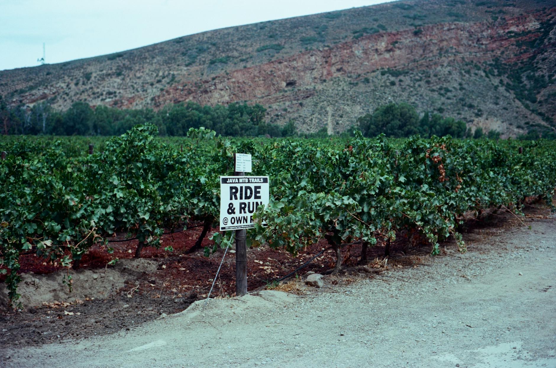 Bressler Vineyards