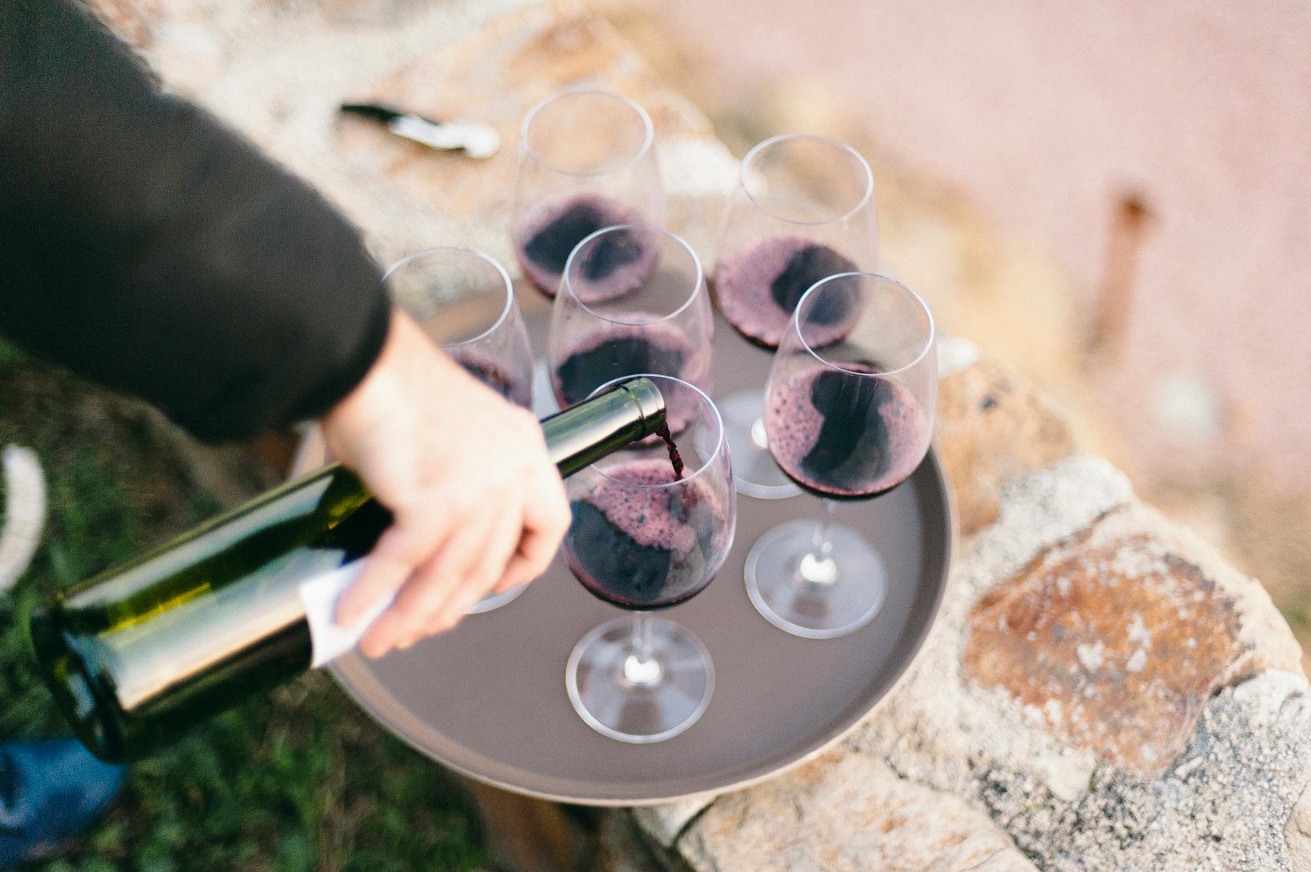 Honig Vineyard & Winery