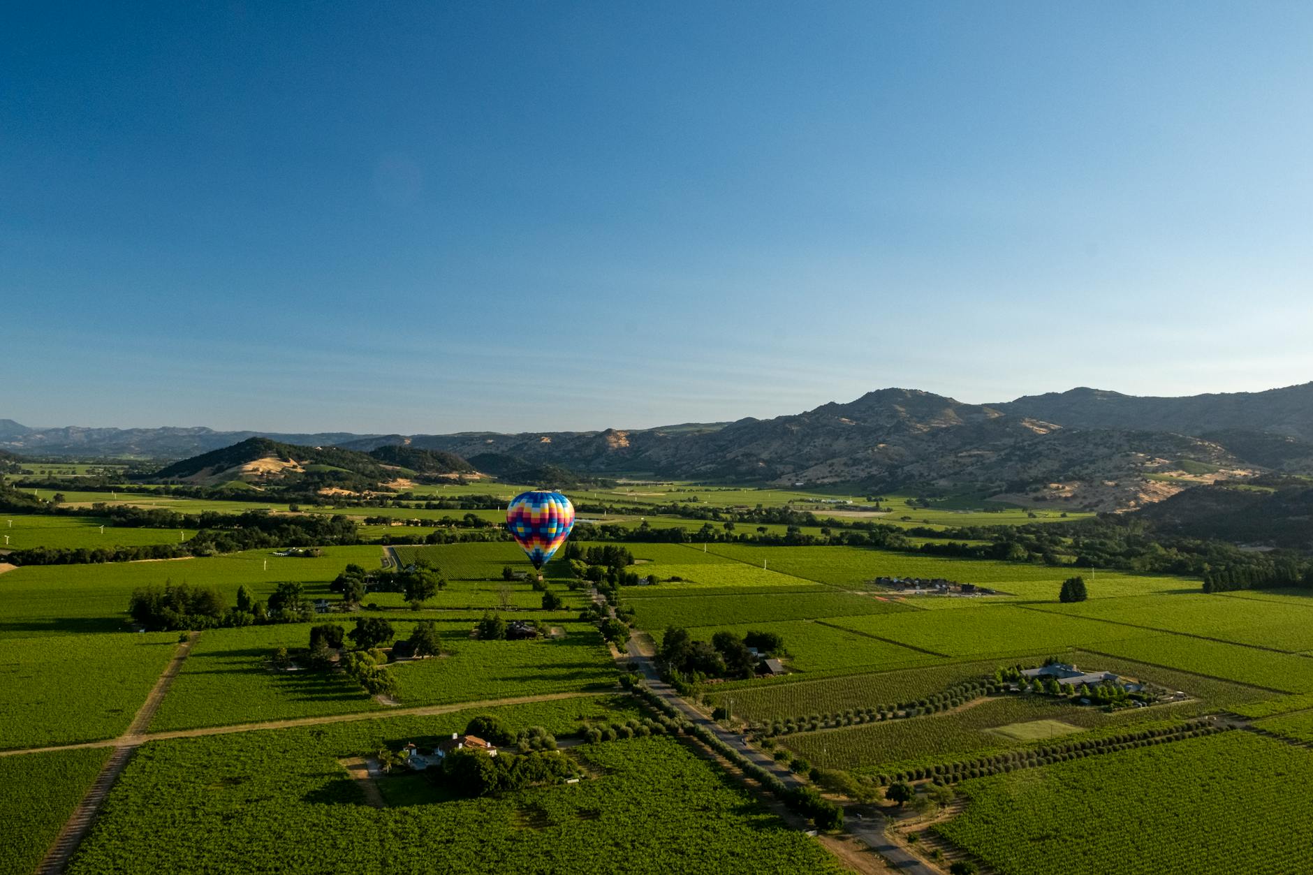 Phifer Pavitt Wine