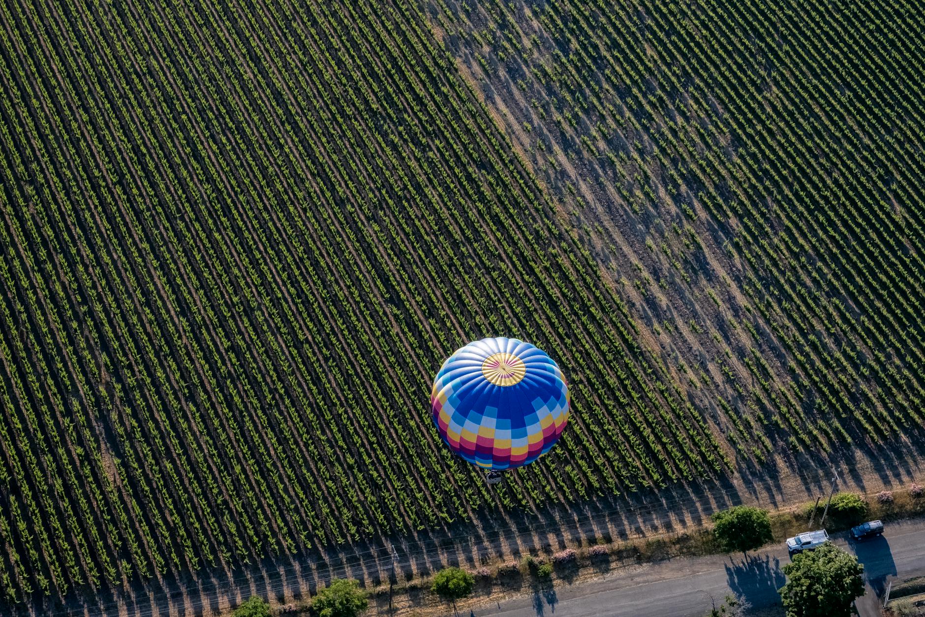 Odette Estate Winery