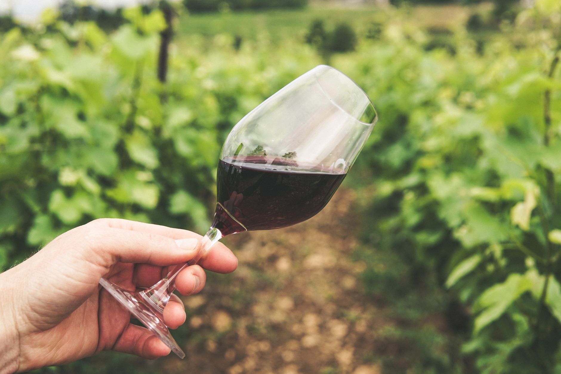 Duckhorn Vineyards