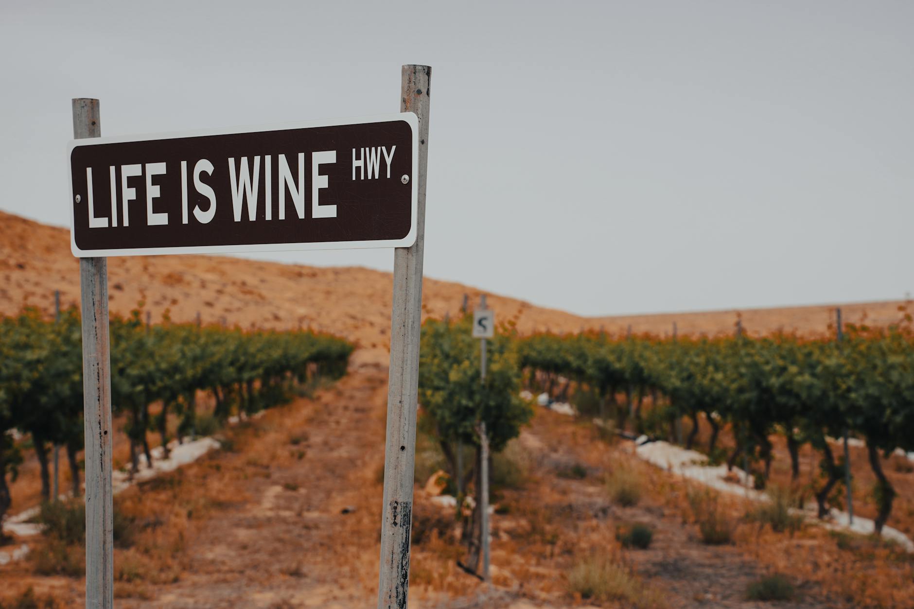 Elizabeth Spencer Wines