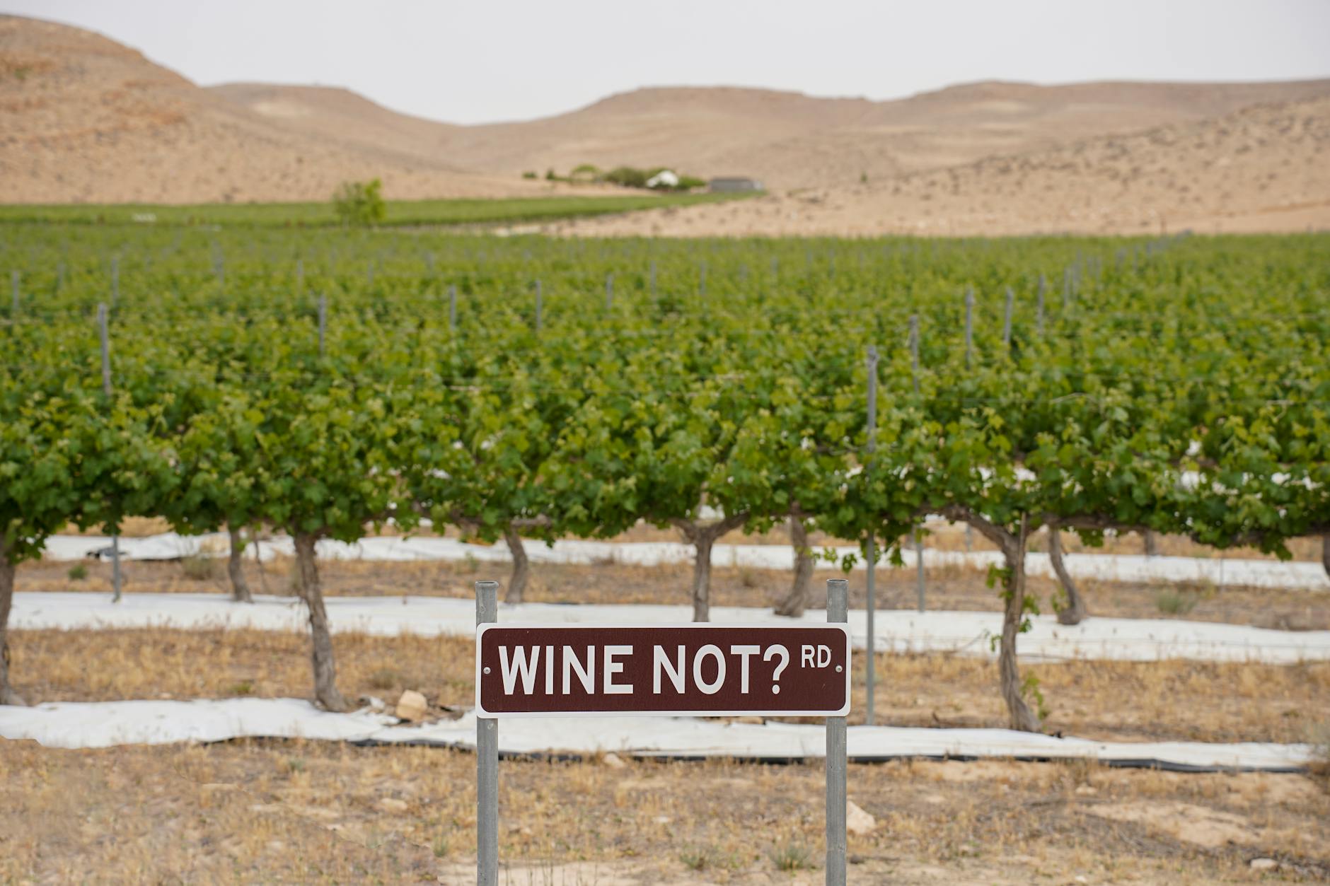 Gamble Family Vineyards