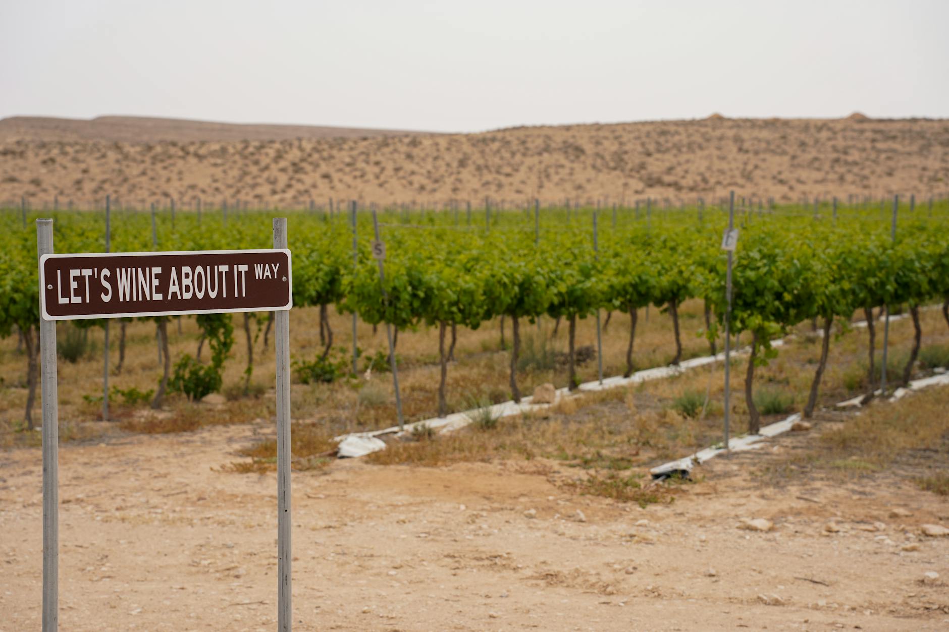 B Cellars