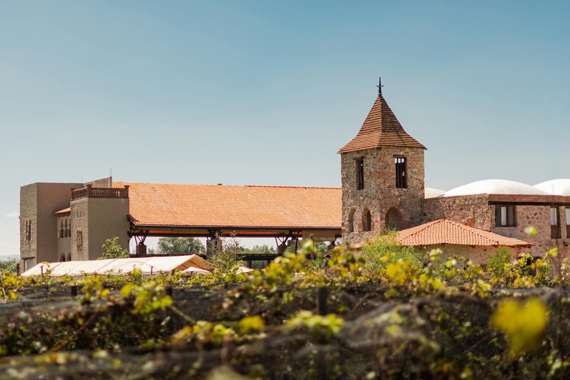 Grassi Family Vineyards