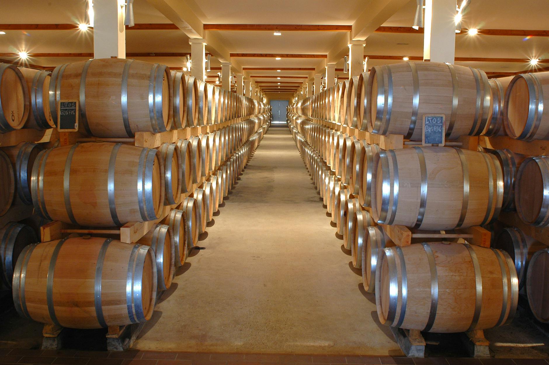 Andretti Winery
