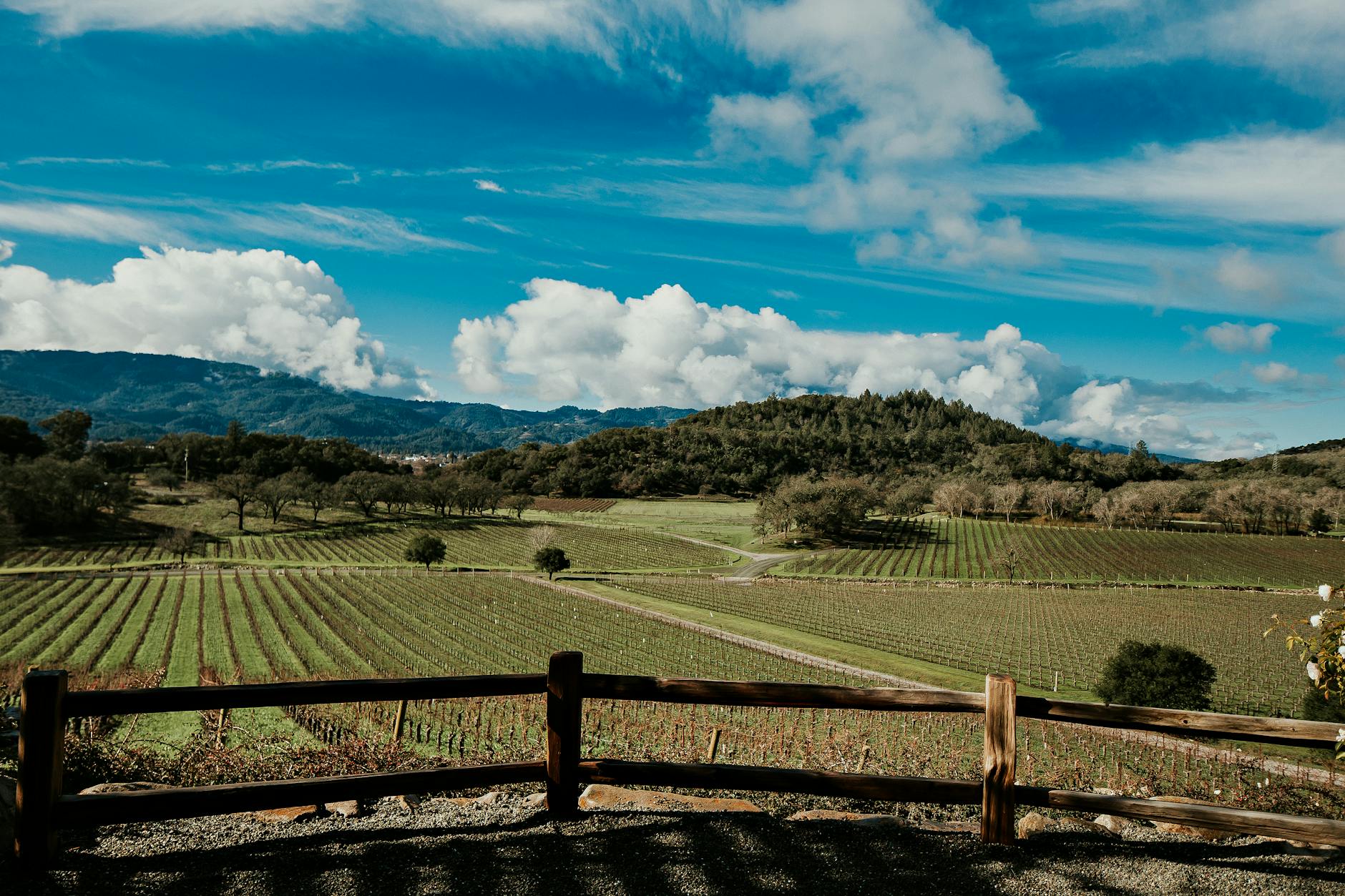 O'Brien Estate Winery